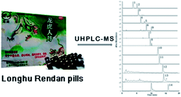 Graphical abstract: Simultaneous determination of 14 major components in Longhu Rendan pills by ultra-high-performance liquid chromatography coupled with electrospray ionisation tandem mass spectrometry