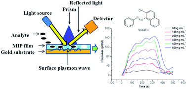Graphical abstract: Molecularly imprinted polymer based surface plasmon resonance sensors for detection of Sudan dyes