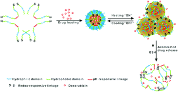 Graphical abstract: On–off switchable drug release from multi-responsive degradable poly(ether urethane) nanoparticles