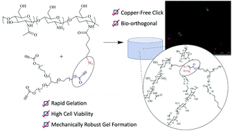 Graphical abstract: In situ-forming robust chitosan-poly(ethylene glycol) hydrogels prepared by copper-free azide–alkyne click reaction for tissue engineering