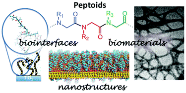 Graphical abstract: Peptoids for biomaterials science