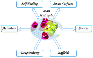 Graphical abstract: Smart hydrogels as functional biomimetic systems