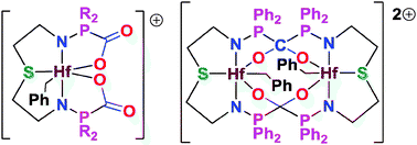 Graphical abstract: Activation of CO2 by phosphinoamide hafnium complexes