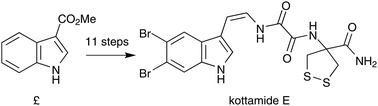 Graphical abstract: Total synthesis of kottamide E