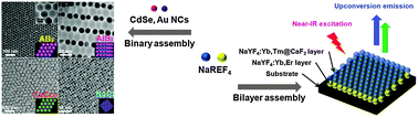 Graphical abstract: Construction of NaREF4-based binary and bilayer nanocrystal assemblies