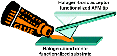 Graphical abstract: Interfacial halogen bonding probed using force spectroscopy