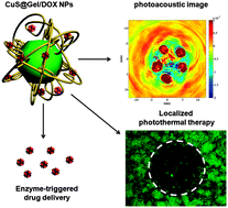 Graphical abstract: Enzyme-responsive copper sulphide nanoparticles for combined photoacoustic imaging, tumor-selective chemotherapy and photothermal therapy