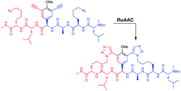 Graphical abstract: Synthesis of 1,5-triazole bridged vancomycin CDE-ring bicyclic mimics using RuAAC macrocyclization