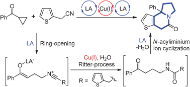 Graphical abstract: A cascade approach to fused indolizinones through Lewis acid–copper(i) relay catalysis