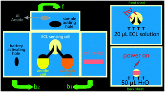 Graphical abstract: A self-powered microfluidic origami electrochemiluminescence biosensing platform