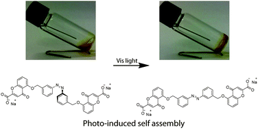 Graphical abstract: Light-triggered self-assembly of a dichromonyl compound in water