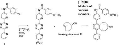 Graphical abstract: Development of a 11C-labeled tetrazine for rapid tetrazine–trans-cyclooctene ligation