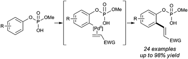 Graphical abstract: Palladium-catalyzed ortho-alkenylation of aryl hydrogen phosphates using a new mono-phosphoric acid directing group