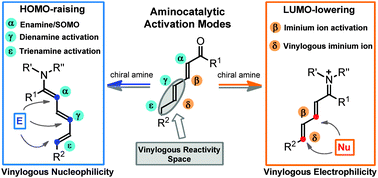 Graphical abstract: When asymmetric aminocatalysis meets the vinylogy principle