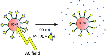 Graphical abstract: Metal carbonyls supported on iron oxide nanoparticles to trigger the CO-gasotransmitter release by magnetic heating