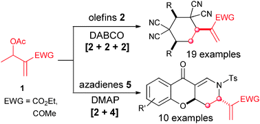 Graphical abstract: Distinct reactivity of Morita–Baylis–Hillman acetates as a novel C2 component in amine-catalyzed [2 + 2 + 2] and [2 + 4] annulations