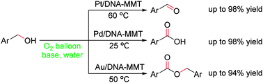 Graphical abstract: Pt, Pd and Au nanoparticles supported on a DNA–MMT hybrid: efficient catalysts for highly selective oxidation of primary alcohols to aldehydes, acids and esters