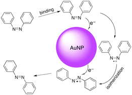 Graphical abstract: Gold nanoparticle catalysis of the cis–trans isomerization of azobenzene