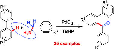 Graphical abstract: Palladium-catalyzed ortho-acylation of 2-aryl pyridine derivatives using arylmethyl amines as new acyl sources