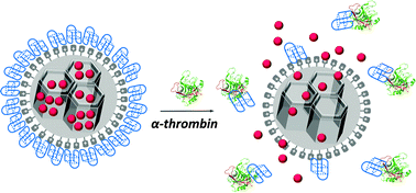 Graphical abstract: An aptamer-gated silica mesoporous material for thrombin detection