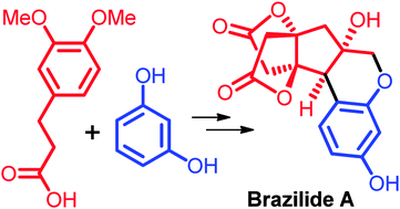 Graphical abstract: Enantioselective total synthesis of (+)-brazilin, (−)-brazilein and (+)-brazilide A