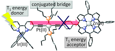 Graphical abstract: Monitoring the on–off switching of the electronic communication in diethynylplatinum(ii)-bridged dyads using triplet energy transfer