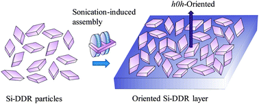 Graphical abstract: Synthesis and sonication-induced assembly of Si-DDR particles for close-packed oriented layers