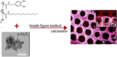 Graphical abstract: Dispersion of Al2O3 nanoparticles stabilized with mussel-inspired amphiphilic copolymers in organic solvents and formation of hierarchical porous films by the breath figure technique