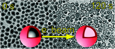 Graphical abstract: How hollow structures form from crystalline iron–iron oxide core–shell nanoparticles in the electron beam