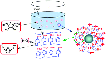 Graphical abstract: An efficient and reusable “hairy” particle acid catalyst for the synthesis of 5-hydroxymethylfurfural from dehydration of fructose in water