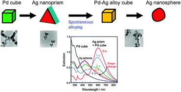 Graphical abstract: Rapid spontaneous alloying between Pd nanocubes and Ag nanoparticles in aqueous solution at ambient temperature