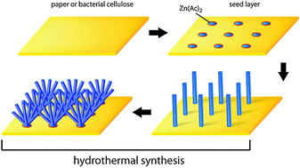 Graphical abstract: ZnO nanostructures directly grown on paper and bacterial cellulose substrates without any surface modification layer
