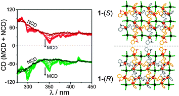 Graphical abstract: Natural and magnetic optical activity of 2-D chiral cyanido-bridged MnII–NbIV molecular ferrimagnets