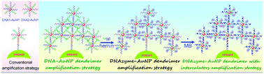 Graphical abstract: A difunctional DNA–AuNP dendrimer coupling DNAzyme with intercalators for femtomolar detection of nucleic acids