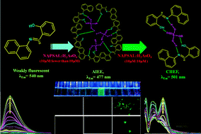 Graphical abstract: Fluorescence sensing of arsenate at nanomolar level in a greener way: naphthalene based probe for living cell imaging