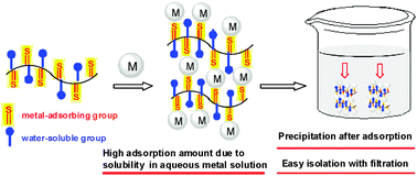 Graphical abstract: A facile and high-recovery material for rare-metals based on a water-soluble polyallylamine with side-chain thiourea groups