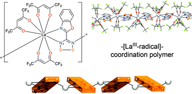 Graphical abstract: Ferromagnetic superexchange in a 1D –[LaIII–radical]– coordination polymer