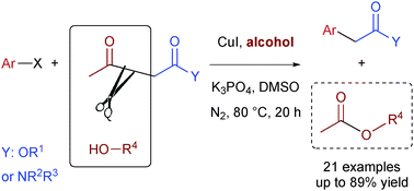 Graphical abstract: Alcohol assisted C–C bond breaking: copper-catalyzed deacetylative α-arylation of β-keto esters and amides