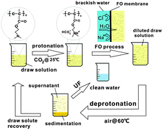 Graphical abstract: CO2 switchable dual responsive polymers as draw solutes for forward osmosis desalination