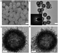 Graphical abstract: Lanthanide-based hollow mesoporous nanoparticles: a novel multifunctional platform for simultaneous gene delivery and cell imaging