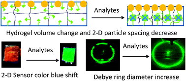 Graphical abstract: Two-dimensional array Debye ring diffraction protein recognition sensing