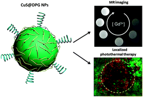 Graphical abstract: Gadolinium-chelate functionalized copper sulphide as a nanotheranostic agent for MR imaging and photothermal destruction of cancer cells