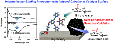 Graphical abstract: Rate enhancement of hexose sugar oxidation on an ethynylpyridine-functionalized Pt/Al2O3 catalyst with induced chirality