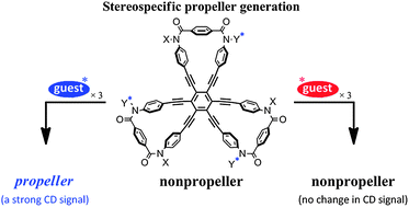 Graphical abstract: A C3-symmetric chiroptical molecular propeller based on hexakis(phenylethynyl)benzene with a threefold terephthalamide: stereospecific propeller generation through the cooperative transmission of point chiralities on the host and guest upon complexation