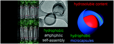 Graphical abstract: Robust molecular micro-capsules for encapsulating and releasing hydrophilic contents