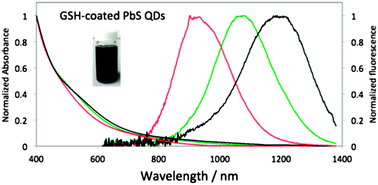 Graphical abstract: Aqueous synthesis of glutathione-coated PbS quantum dots with tunable emission for non-invasive fluorescence imaging in the second near-infrared biological window (1000–1400 nm)
