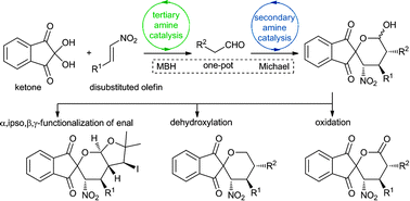 Graphical abstract: Organocatalytic tandem Morita–Baylis–Hillman–Michael reaction for asymmetric synthesis of a drug-like oxa-spirocyclic indanone scaffold