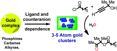 Graphical abstract: Formation and stability of 3–5 atom gold clusters from gold complexes during the catalytic reaction: dependence on ligands and counteranions