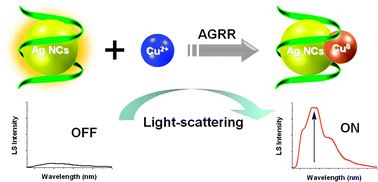 Graphical abstract: An anti-galvanic replacement reaction of DNA templated silver nanoclusters monitored by the light-scattering technique