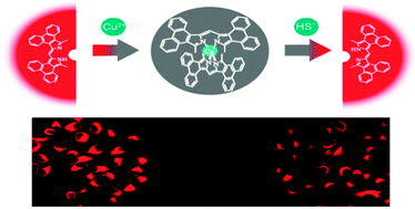 Graphical abstract: A red fluorescent turn-on probe for hydrogen sulfide and its application in living cells